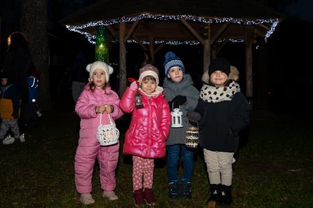 pozdrav zimi in praznik luči _ 2024 (2)